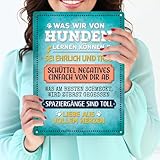 Was wir von Hunden lernen können Metallschild XXL
