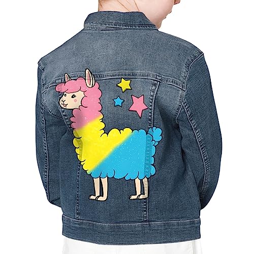 Colorful Llama Kids' Denim Jacket - Cute Clothing - Llama Inspired Clothing