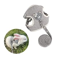 Kaninchen Leine, Verstellbares Hasenleine Kaninchen Zubehoer, 120cm Kaninchen Geschirr Set mit Leine, für Kaninchen, Kleine Katzen und Andere Kleine Haustiere