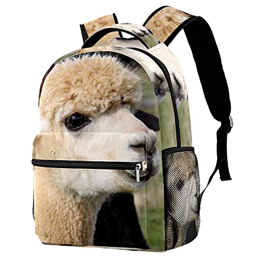 Sac à dos de voyage alpaga multicolore anti-vol et spacieux pour sécuriser vos effets
