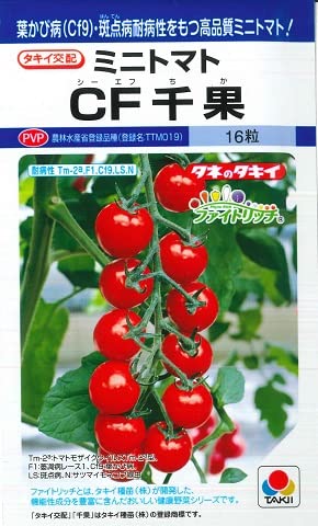 トマトさん専用　10P トマトさん専用 10P