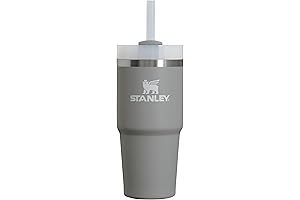 Stanley Quencher H2.0 FlowState Stainless Steel Vacuum Insulated Tumbler for Kids