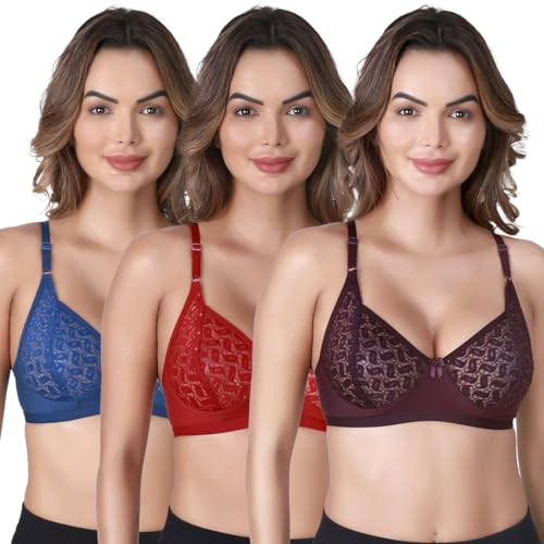 Image of SKDREAMS Naina Net Seamed Non Padded Full Coverage Non-Wired Women Full Coverage Bra