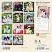Shih Tzu Puppies | 2026 7 x 14 Inch (Hanging) Monthly Mini Wall Calendar | BrownTrout | Animal Small Dog Breed Puppy