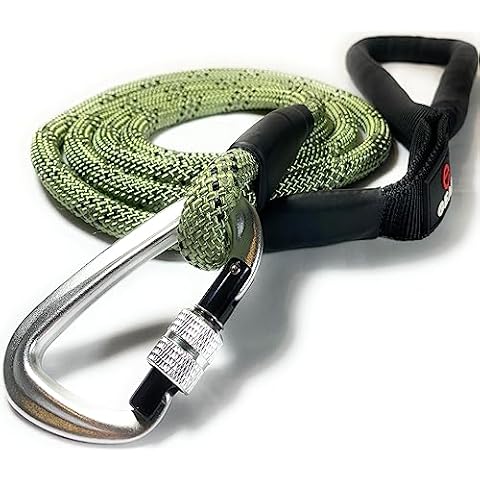 Enthusiast Gear Rope Dog Leash with Locking Carabiner for Large Medium Small Breeds and Puppy | Sturdy and Durable with Reflective Braiding for Walking, Running, Hiking or Training (6' Foot) Cover