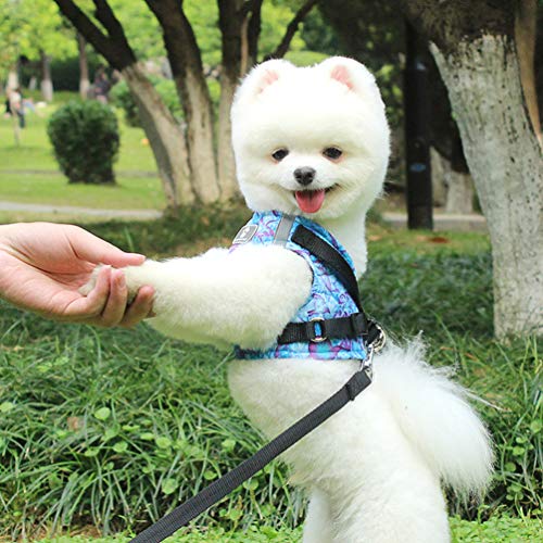 VILLCASE Dog Vest Harness and Leash Set for Walking Escape Proof Small Cat and Dog Harness Breathable Pet Pulling Strap… - Image 3