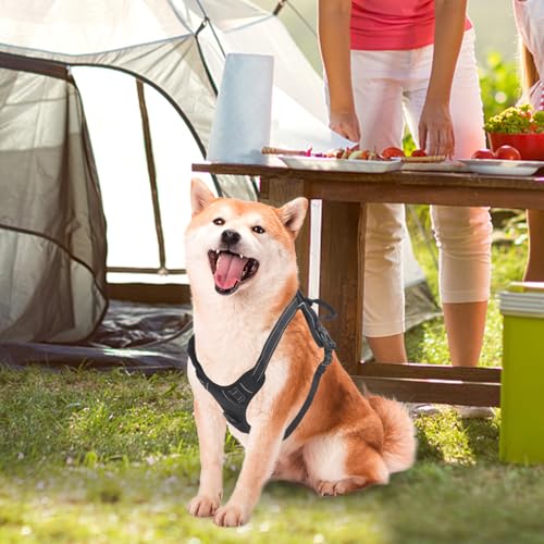 Homoyoyo Verstellbares Hundegeschirr aus Oxfordstoff Gepolstert und Waschbar mit Kamera Brustgurt für Outdoor Aktivitäten und Schwimmen Geeignet für Hunde 20 90lb – Bild 8