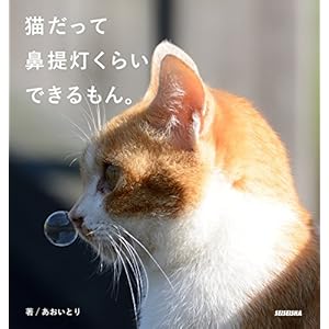 猫だって鼻提灯くらいできるもん。