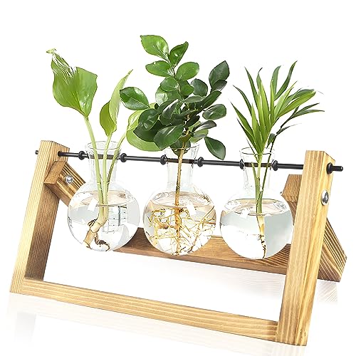 Florero de Vidrio Jarrón de Cristal para Planta Hidropónica con Soporte de Madera de Escritorio para Colgar En La Pared Estación de Propagación Soporte 3 Bombillas