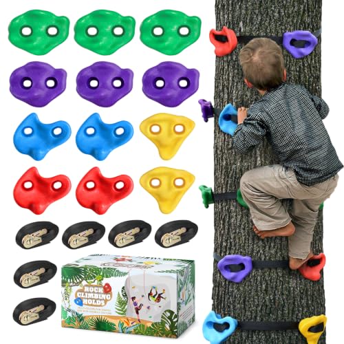 Ninja Tree Climbing Holds for Kids Climber