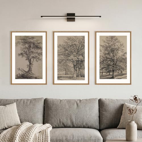 Image of KAIRNE Vintage Tree Sketch Framed Canvas Wall Art Set, Antique Tree Drawings Wall Decor, Retro Forest Art Prints, Modern Nature Landscape Artwork for Living Room, Bedroom, Farmhouse, Office-24 x36 x3