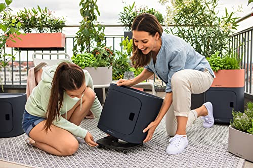 LECHUZA PILA ROLLING BASE black 13405, 35x35x6.5 cm - Image 3
