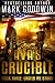 United We Stand: A Post-Apocalyptic Novel of America's Coming Civil War (Ava's Crucible Book 3)
