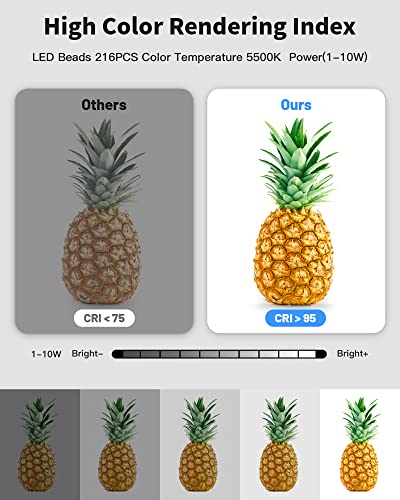 Glendan Light Box Photography, Portable Photo Studio Light Box, 16" x 16" Professional Dimmable Shooting Tent Kit with 216 LED Table Top Light & 6 Backdrops Photo Box for Product Photography - Image 3