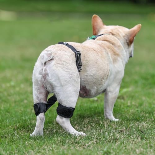 Image of Dog Knee Brace for Support with Cruciate Ligament Injury L | Joint Pain and Muscle Sore, Recovery with ACL Knee Brace for Dogs