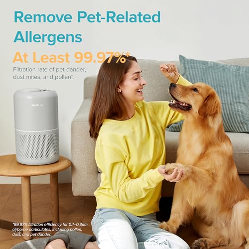 Large Room HEPA Air Purifier with Smart Sensors
