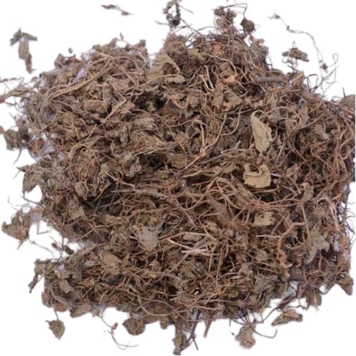 Bacopa Monnieri Bhrami sec premium - Hysope d'eau de qualité supérieure 100 g