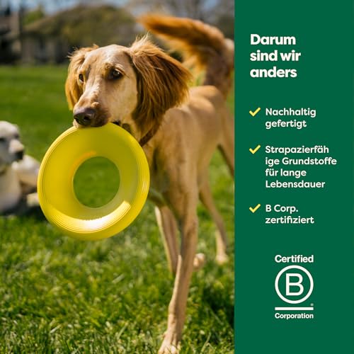 Earth Rated Fliegende Ring, EIN interaktives Frisbee für ausgewachsene Hunde und Welpen, versinkt im Wasser Nicht, klein, gelb
