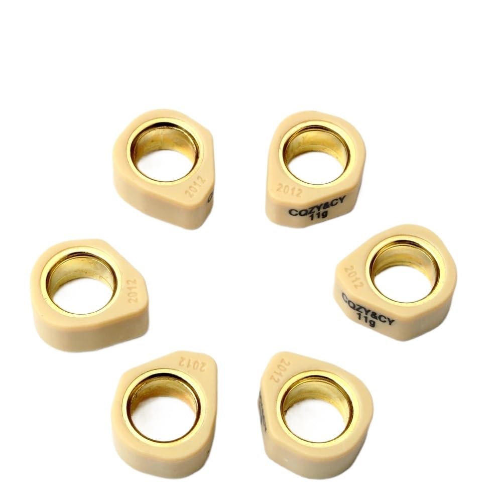 Set di 6 rulli for variatore, pesi 20x12 mm, 9 g, 11 g, 13 g, 16 g, adatti for scooter e motociclette 125, 125 cc, jet 150 cc.(20x12mm 9g)
