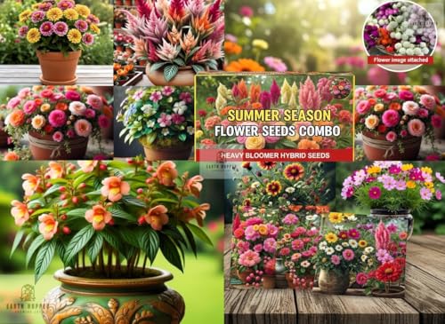 Image of Low Maintenance Hybrid Flower Seeds Combo Pack- All Year Flower Seeds Supply (10 VARIETIES SUMMER SEASON COMBO)