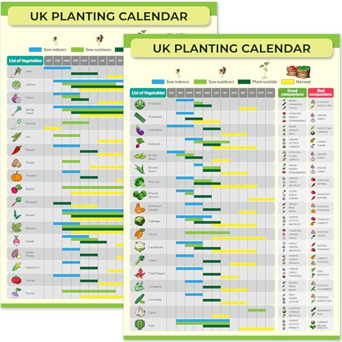 Gardening & Allotment Planting Calendar Reusable Year-Round Seed Sowing & Harvest Guide Waterproof Poster for Greenhouse or Shed Perfect for Gardeners (Multicoloured A4)