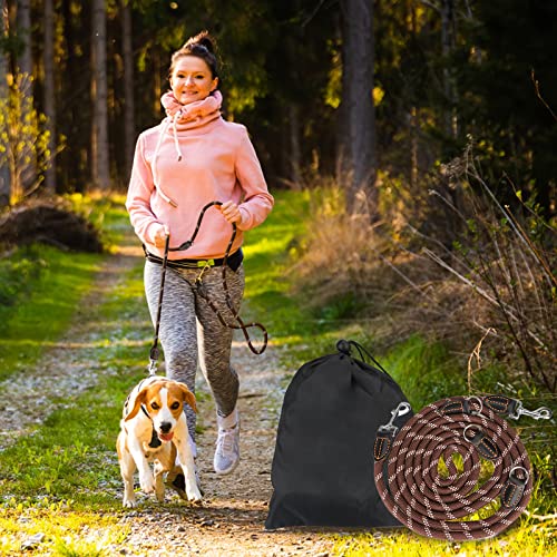 Hundeleine für große und mittelgroße Hunde - Verstellbare Doppelleine aus Nylon mit 2 Karabinerhaken und 3 Ringen - 3m x 15mm - Braun