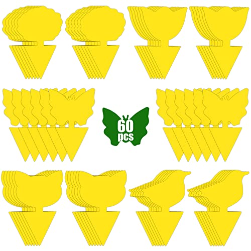 60 Pack Fruit Fly Trap for Indoors, Gnat Traps for House Indoor Gnat Killer, House Plant Gnats Bugs Sticky Killer Fruit Fly Traps for Indoor