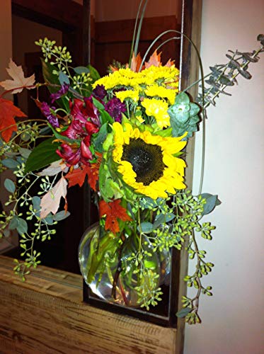 Gadjit Vinyl Window Vase Bulb Style -- Suctions To Windows And Mirrors, Holds Bouquet Of Flower Stems, Greenery And Water, Clear Flexible Vinyl #TOP3