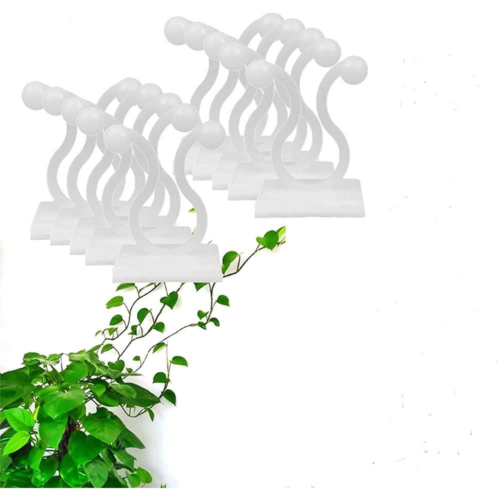 SpiderJuice® Nicely Organized Vine Plant Climbing Wall Fixer Self Adhesive Wall Mounted Clip String for Plants Climbers Veins Easy Fixture Free Drilling (Pack of 30 Clips) (B09DVXBS6G) Amazon Price History, Amazon Price Tracker