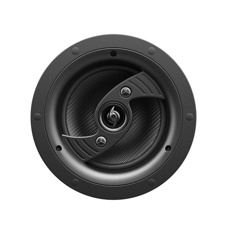 Ceiling Speaker-picture-30