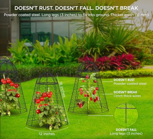 boldworks Garden Cloches for Plants Chicken Wire Cages to Protect from Animals Outdoor Extra Large Rustproof Thicker and Finer Mesh 12" x 20" Pack of 6