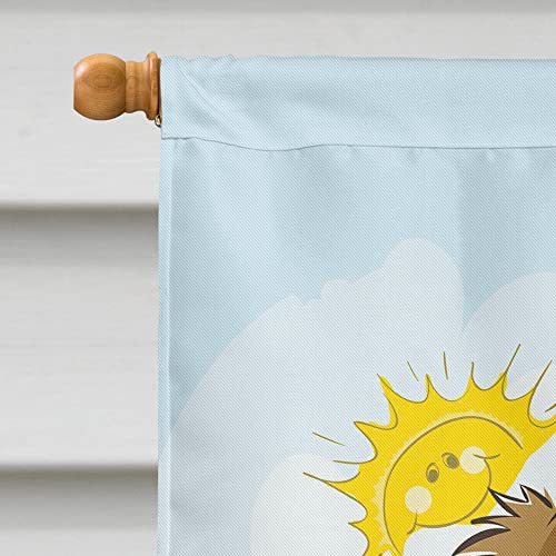 Drapeau multicolore Cavalier Spaniel anti-décoloration pour façade extérieure