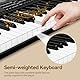Keyboard 61 Tasten: TERENCE E Piano HiFi Audio System 51 Multifunktion Panel LED Schnittstelle Dual Keyboard Modus Dual Power Betrieb Adapter Batterie Pro Audio Ports Headset Mikrofon Unterstützung