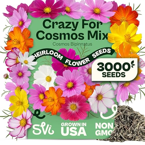 SVI 3000 Mix Crazy for Cosmos Seeds (Cosmos bipinnatus) Cosmo Mix Wildflower Seed Packets Easy Grow Annual Bulk Flower Seeds for Outside Flower Garden Containers Flowers Beds