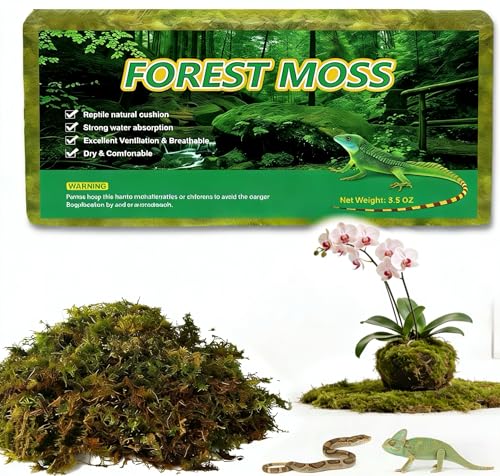 Pnoyws 5L Natural Sphagnum Moss for Plants & Reptiles Long Lasting Peat Moss Reptile Bedding for Snake Turtle Gecko Frog and Orchids Terrarium Substrate