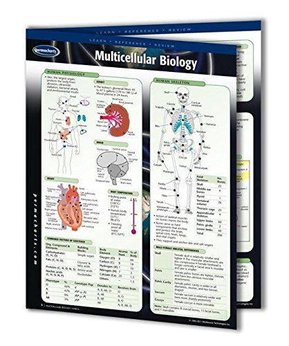 Permacharts - Multicellular Biology - -