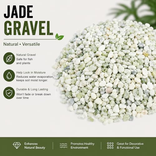 Image of CONSDAN 12 LBS Natural Gravel for Fish Tank, StoneCreek Betta Fish Aquarium Gravel, Vase Filler, River Rocks, Fish Tank Decorations, Perfect for Aquarium Decor, Fish Tank, & Indoor Plant, Jade