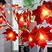 HENMI Guirnaldas luminosas Hoja de Arce Artificial, 2M 20 LED Luces de...