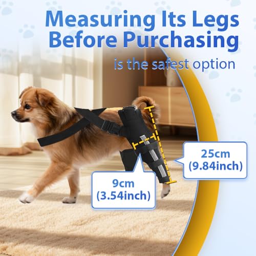 Image of Double Dog Knee Brace for Torn Acl Hind Leg(Extra Small), Double Dog Leg Braces for Back Leg for Support, Acl Brace for Dogs, Built-In Hard Metal Spring Support,Adjustable Strap,Night Reflective Strip