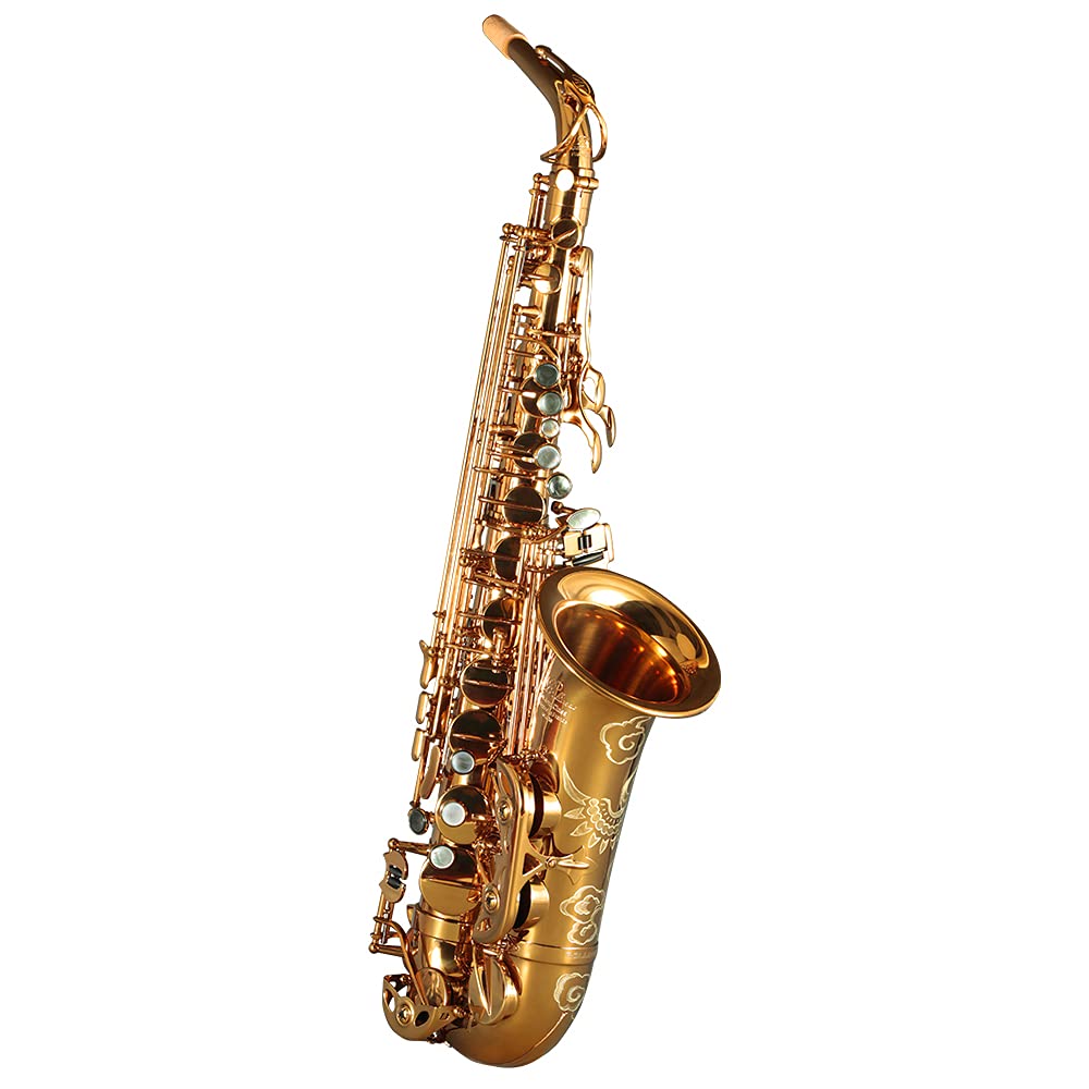 Rollins Saxophone alto RSA-X3, E flat Selmer 54-Key,Matériau cuivre rouge + laiton,Or