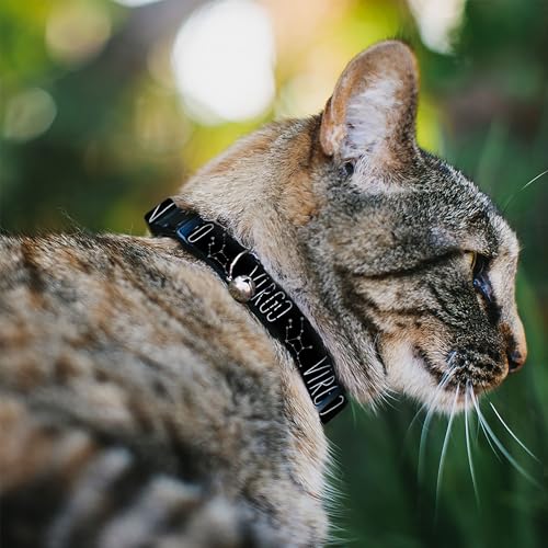Collar para gato resistente Buckle-Down Virgo de 20 cm 3