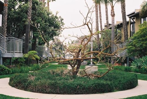 image for FUJIFILM 200 Color Negative Film (35mm Roll Film, 36 Exposures, 3-Pack