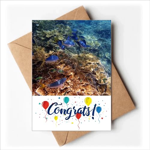 Cartes de mariage avec enveloppes motif poissons pour félicitations