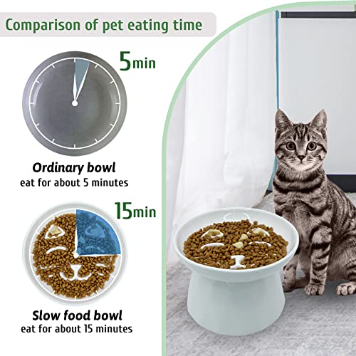 Bnosdm Ceramic Slow Feeder Cat Bowl Elevated Cat Slow Eating Dish Pet Slower Feeding Bowls Cute Dry Wet Food Puzzle Plate For Indoor Small Dog Kitten Puppy #TOP1