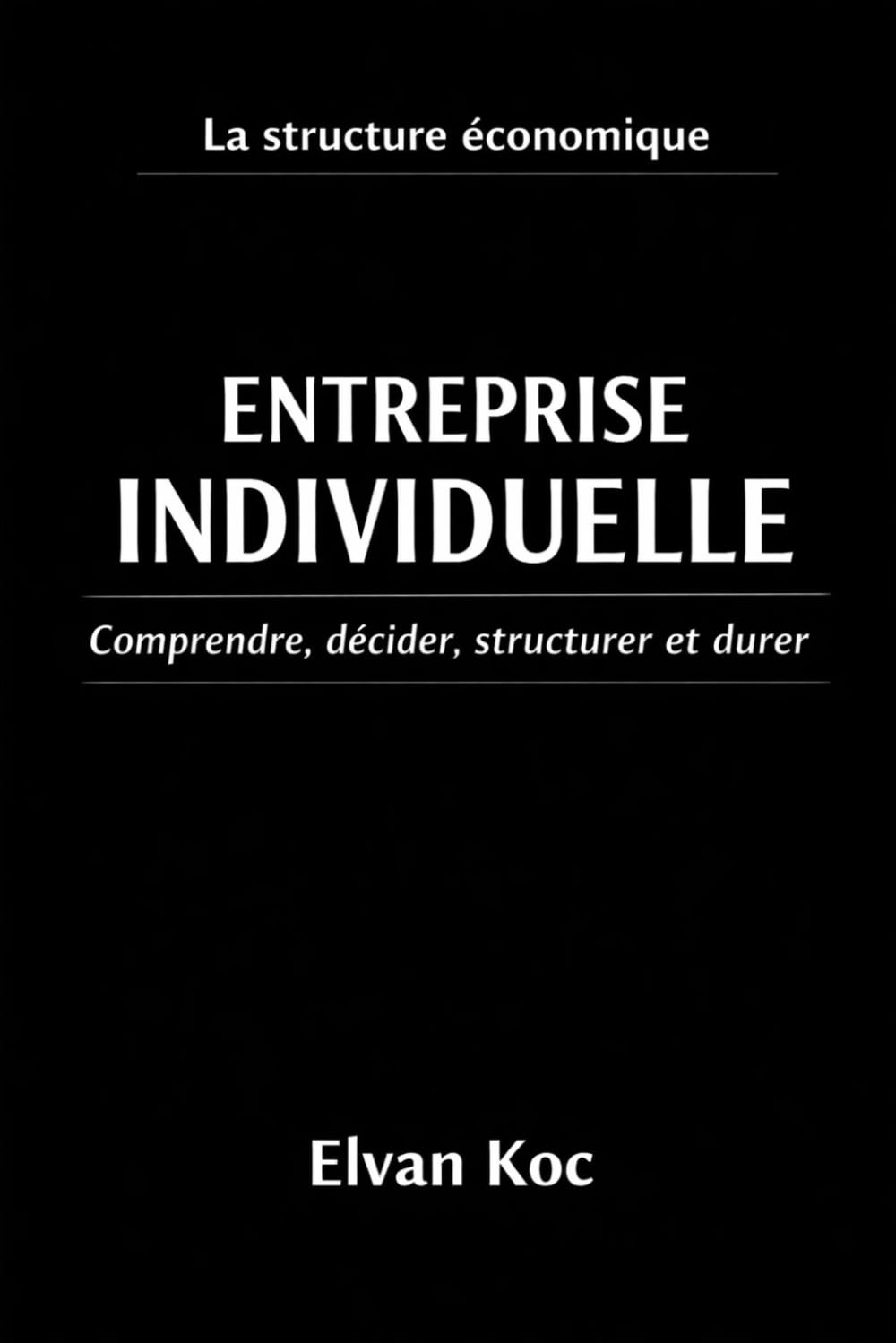 la structure économique ENTREPRISE INDIVIDUELLE: comprendre, décider,structurer et durer