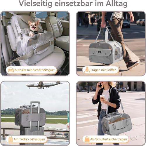 A 4 PET Transportbox Katze, Hundetasche Flugzeug für Kabine/Auto, Leicht Hunde Flugtasche mit patentieren Sicherheit Schnallen/4 Mesh/Aufbewahrungstasche, Grau