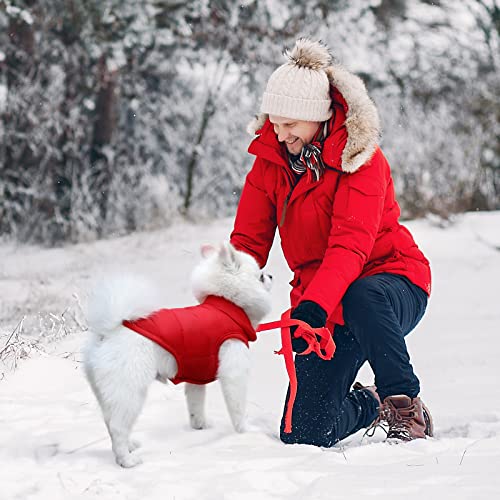 3 Pieces Waterproof Pet Dog Jacket Windproof Small Dog Vest 2 Layers Fleece Lined Warm Dog Sweaters Soft Pet Apparel Small Dog Winter Coat And Cat Sweater For Puppy Winter Cold Weather (Small) #TOP5