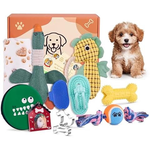 FLAIR GIFTS Welcome New Puppy Starter Kit, 14Pcs Dog Toy Gift Basket for Small Puppies, Interactive Dog Toys Bundle, Puppy Birthday Gift Box for Christmas, Pet Essentials with Healthy Treat Recipes Cover
