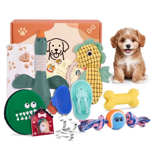FLAIR GIFTS Welcome New Puppy Starter Kit, 14Pcs Dog Toy Gift Basket for Small Puppies, Interactive Dog Toys Bundle, Puppy Birthday Gift Box for Christmas, Pet Essentials with Healthy Treat Recipes