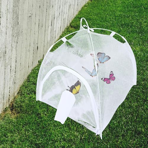 Jaula para insectos y mariposas ideal para proyectos de observación en el jardín 5